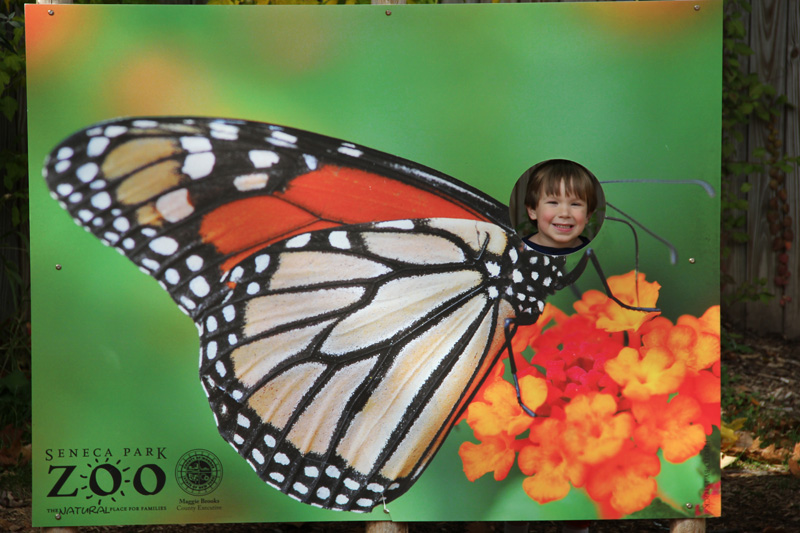 slideshow